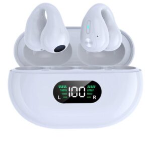 LY6 EARBUD